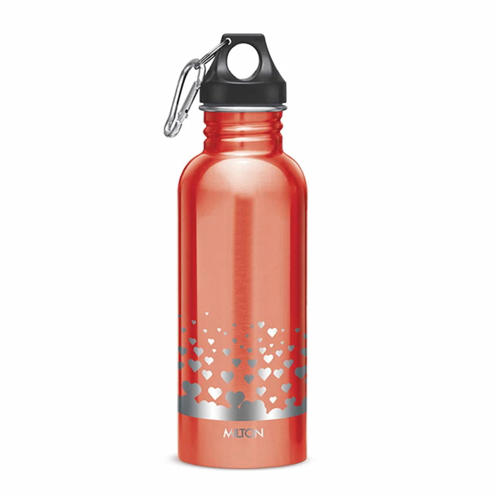 Milton Alive 750 Stainless Steel Water Bottle with Screw Top Lid