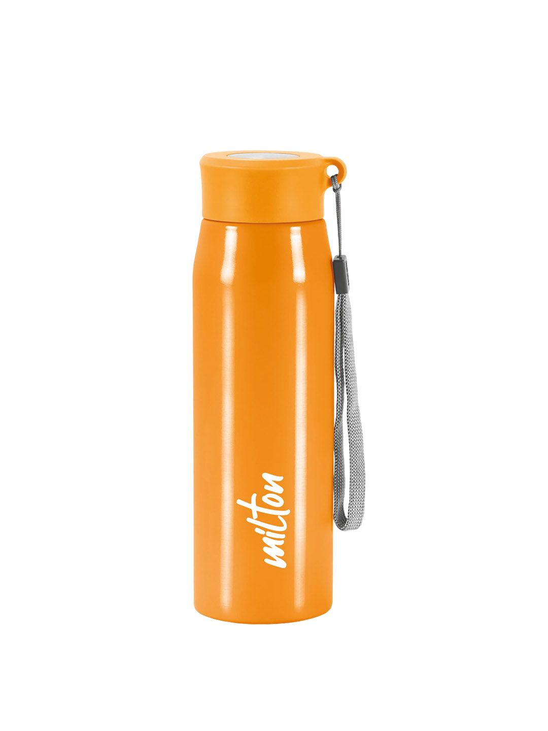Milton Handy 650 Purple Single Walled Stainless Steel Water Bottle